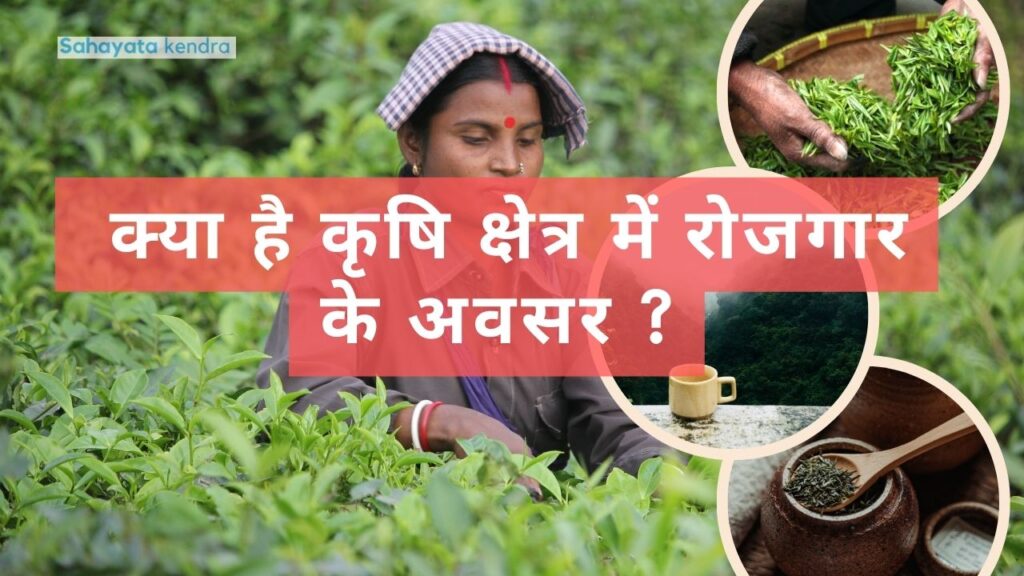 (2024) क्या है कृषि क्षेत्र में रोजगार के अवसर ?| krishi ke kshetra mein rojgar ke avsar